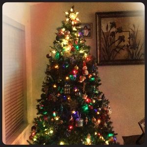 Full length Tanuki Fox Fur With Matching Headpiece